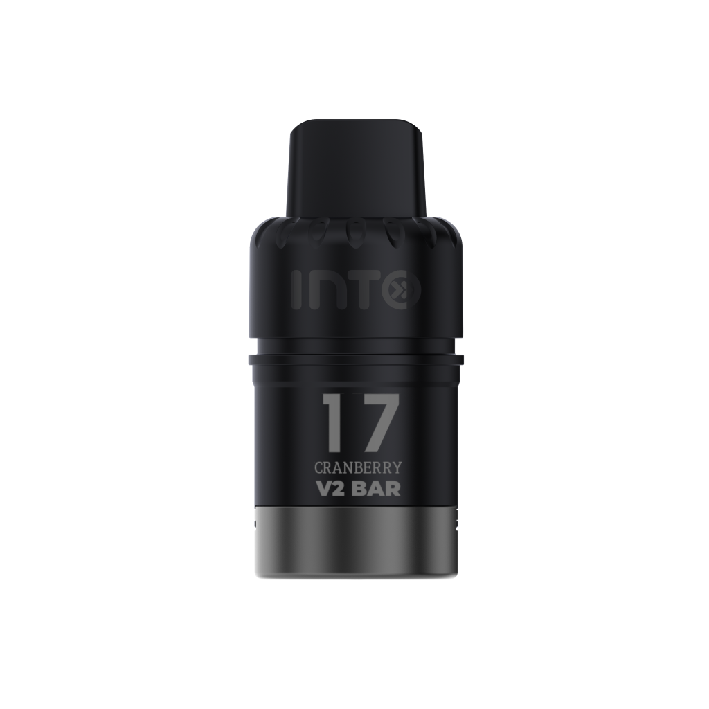 INTO V2 Blueberry Watermelon
